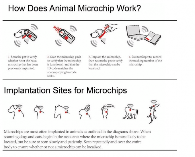 Microchip del vínculo del animal doméstico