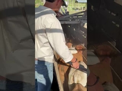 PT290 LF lector de etiquetas auditivas de ganado RFID lector de palos