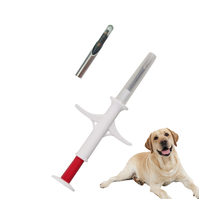 Rastrear un perro con microchip de identificación de animales El microchip es la mejor opción para la identificación simplificada de animales