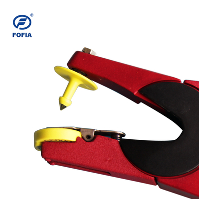 Aretes personalizados para ovejas para una fácil identificación y clasificación del ganado