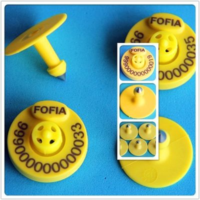 Laser Printing Electronic Ear Tags for Swine with ISO 11784/11785 Compliance and Self-locking Plastic Pin