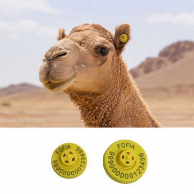 Frecuencia 1342KHz Etiquetas de oreja de vaca 4 a 7.4 gramos Etiquetas efectivas para sistemas de seguimiento de ganado y camellos e identificación de ganado