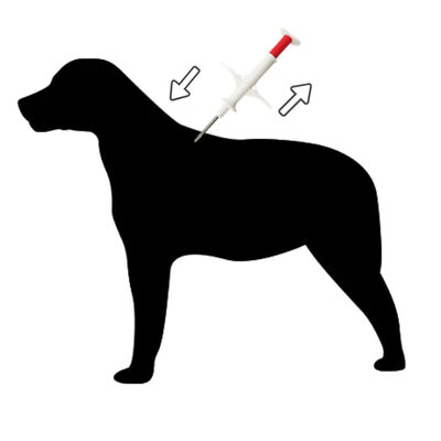 Mini transpondedor de animales FDX-B ultrapequeño y ligero para refugios de animales ZS007