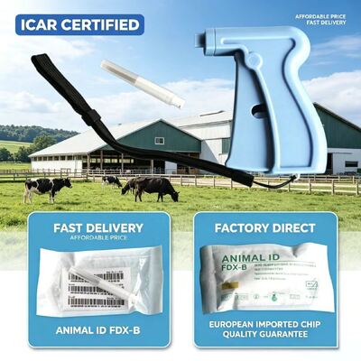 Certificado ICAR Microchip de transpondedor ISO diseñado para comunicación inalámbrica y rendimiento duradero en sistemas automotrices y de seguridad