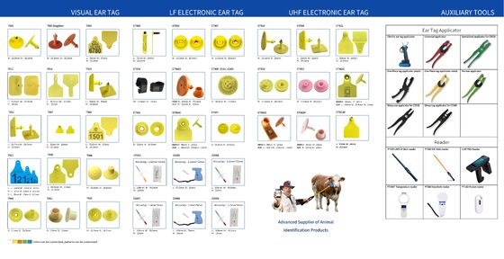 FULL ICAR Personalizable TPU Blank Orecillos de vaca Etiquetas de plástico Animales etiqueta de oreja para ovejas Cabras Etiqueta de oreja de ganado