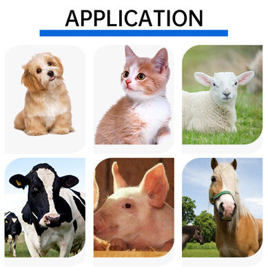 Lector de tarjetas RFID de microchip de plástico para animales portátil PT160 134.2kHz Pantalla OLED USB Batería de litio CE Certificado ISO 11784/11785