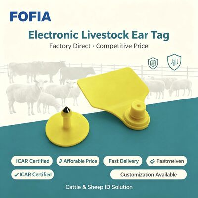 TPU Fofia ICAR T904 etiqueta de oreja para ganado para ganado bovino oveja cerdo vaca cabra