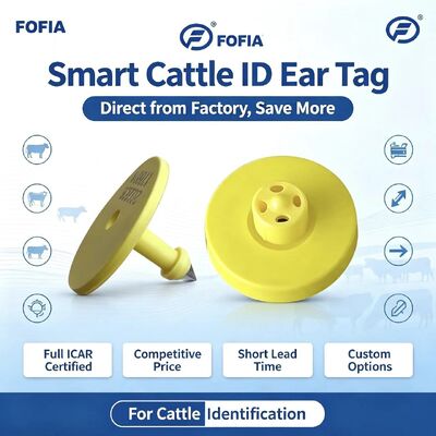 ICAR ET908 + T901 impermeable RFID LF TPU etiquetas de oreja de animales amarillas 14,5mm EM4305 Chips 5 años de garantía Fofia de ganado