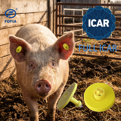 FULL ICAR ET908 etiqueta circular de oreja de animales con lector BLE ISO11784/5 FDX-B a prueba de agua y duradero