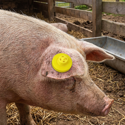 Etiqueta de oreja de oveja RFID antidesprendimiento impermeable de alta calidad ISO11785 FDX-B para seguimiento de animales