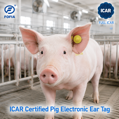 Fofia ET908 RFID Etiqueta de oreja de animal 134,2 KHz FDX-B Etiqueta de identificación de ganado inteligente con ICAR completo