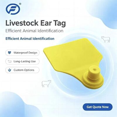 Chip de etiqueta de oreja de animal ICAR Fofia T904 RFID TPU Codificación láser Garantía de 3 años Uso agrícola para seguimiento de ganado