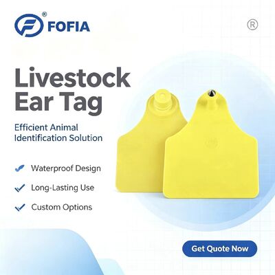 Etiqueta de oreja para rastreo de animales ICAR T904+T905, nueva RFID TPU Plástico 70*57mm, codificación láser, 3 años de garantía, uso en granjas para ganado
