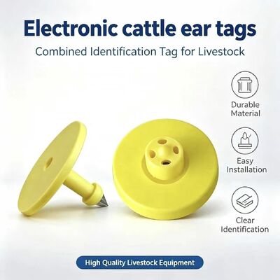 Etiqueta de oreja RFID impermeable con cumplimiento ISO11784/5 y garantía de 5 años para el seguimiento del ganado