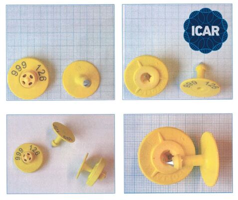 Nuevas etiquetas de oreja de animal RFID TPU amarillas ICAR LF impermeables de cobertura completa 14.5mm con chips ET908+T901, 5 años de garantía para uso en ganado Fofia