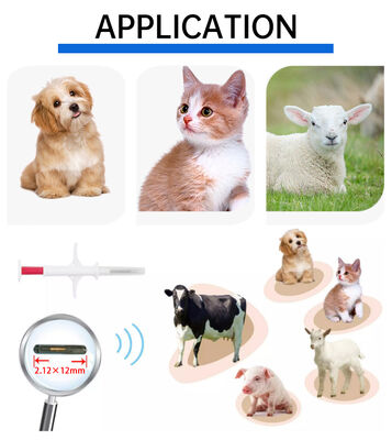 Fofia Impermeable Nuevo RFID de Venta Caliente 134.2kHz Material PP Microchip para Perros Uso Agrícola Etiqueta de Oreja de Inyección para Mascotas 1.5 Años