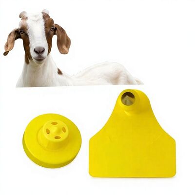 Etiqueta electrónica duradera e impermeable para ganado caprino y ovino, con seguimiento de animales, RFID de alta calidad, codificación láser de TPU, garantía de 3 años, modelo