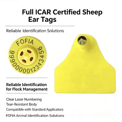 FULL ICAR Certified 134.2KHz FDX-B RFID TPU Material Yellow Sheep & Cattle Ear Tag New 5 Year Warranty Combination Fofia