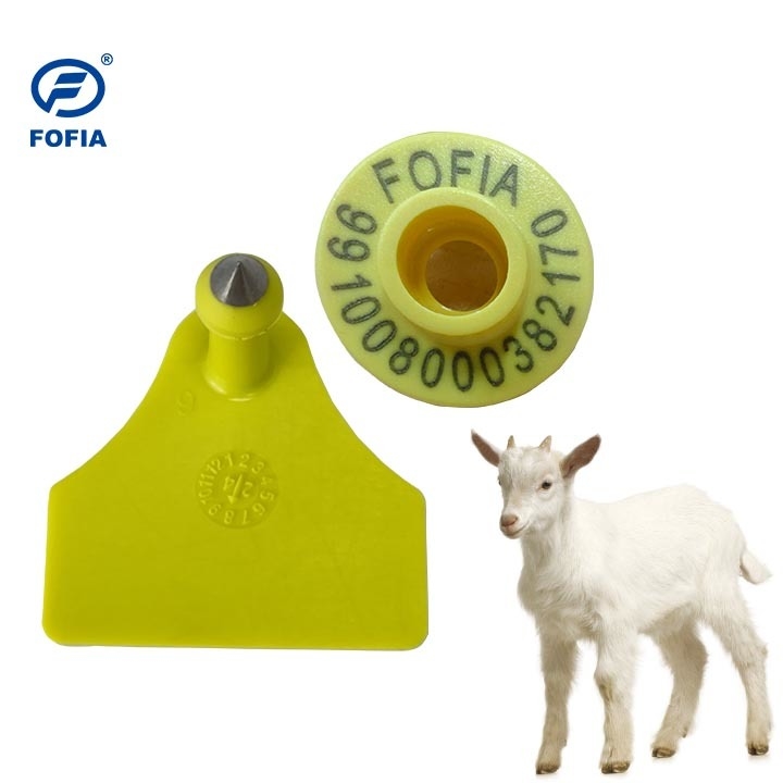 Aretes personalizados para ovejas para una fácil identificación y clasificación del ganado