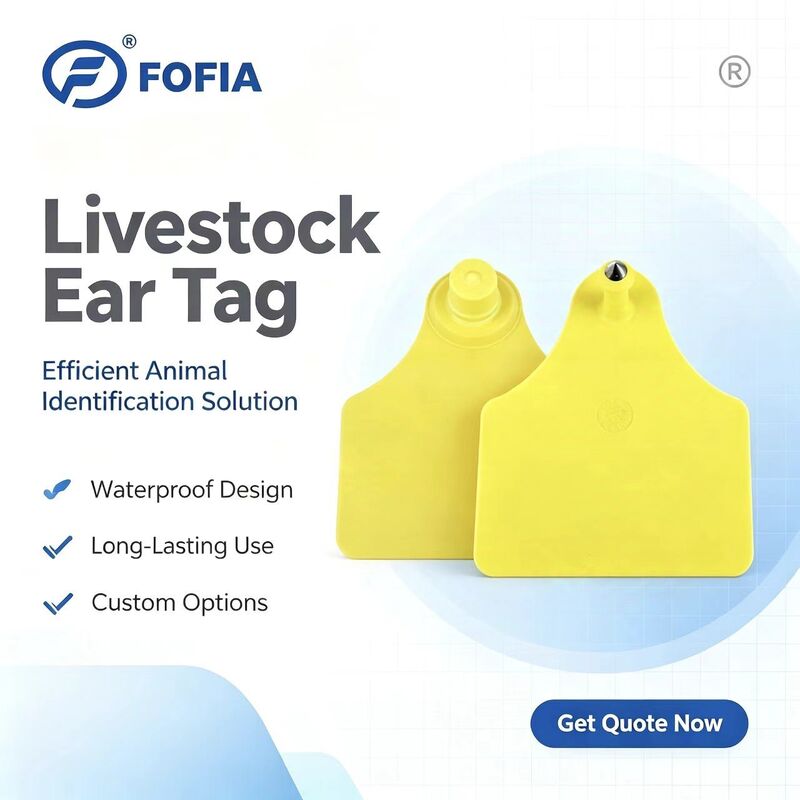 Etiqueta de oreja para rastreo de animales ICAR T904+T905, nueva RFID TPU Plástico 70*57mm, codificación láser, 3 años de garantía, uso en granjas para ganado