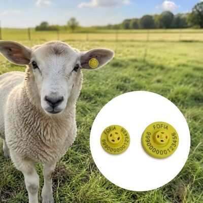 Etiquetas auriculares electrónicas con impresión láser que cumplen con los estándares FDX-B y garantizan la identificación y la gestión de datos ganaderos