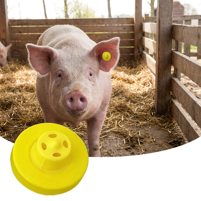 FULL ICAR 134.2KHz RFID etiqueta de oreja de metal para ganado cerdo oveja Solución mejorada de identificación de animales