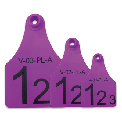 Etiquetas de oído electrónicas masculinas de la reutilización púrpura para la gestión divisional de animales